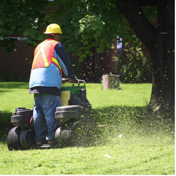 Operator on a rider mower maintaining a public urban park