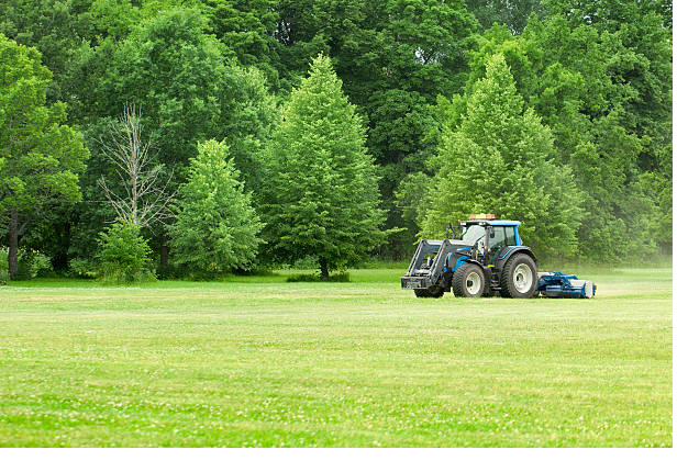 Compact tractor with rear finish mower